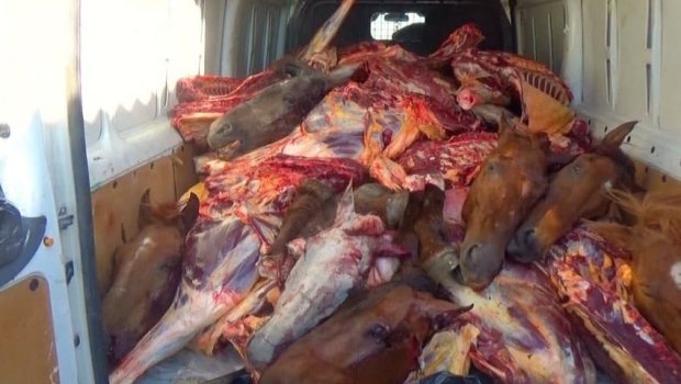 Mal əti adı ilə at əti satan şəxs saxlanıldı