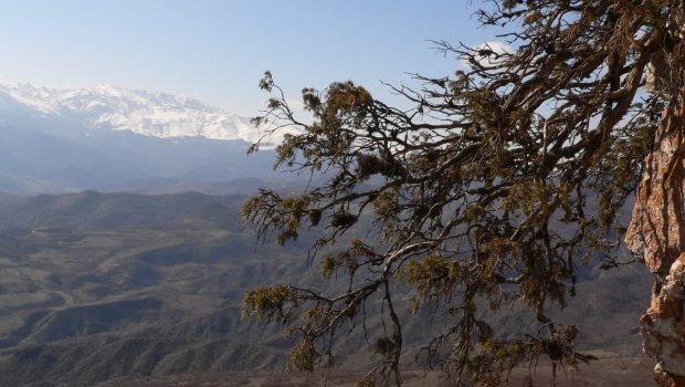 Erməniləri qorxuya salan “Azərbaycana xoş gəlmisiniz!” mesajı - FOTO