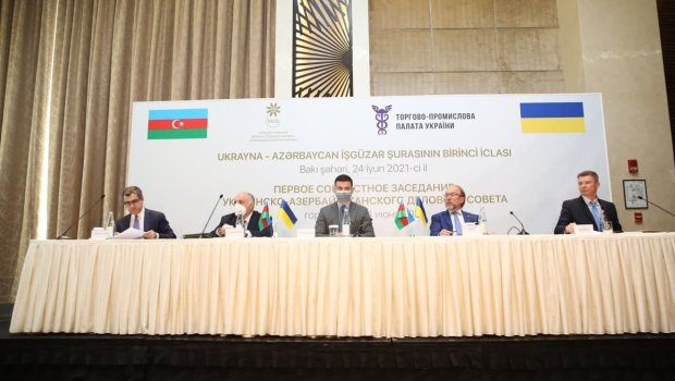 Azərbaycan və Ukrayna arasında İşgüzar Şura yaradıldı - FOTO