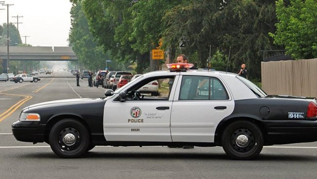 Los Angeles polisi 1,2 milyard dollarlıq marixuananı ələ keçirdi - Karteldə ermənilər də var  