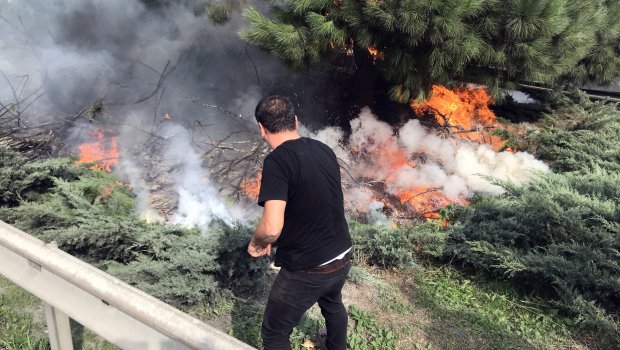 Ağacların yanması ilə bağlı şikayət araşdırıldı 