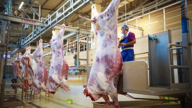 Qurbanlıq heyvanların satışı və kəsimi yerləri AÇIQLANDI 