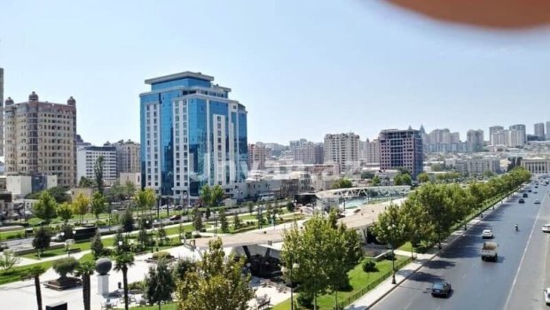 Qış parkında görüntüləri yayılan cütlüklə bağlı DİN-dən AÇIQLAMA