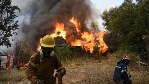 Meşə yanğınları Yunanıstana da keçdi - Yarımada OD İÇİNDƏ