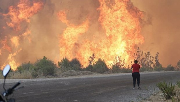 “Türkiyədə yanğınları biz törətmişik” - PKK-ya bağlı olan terror təşkilatı
