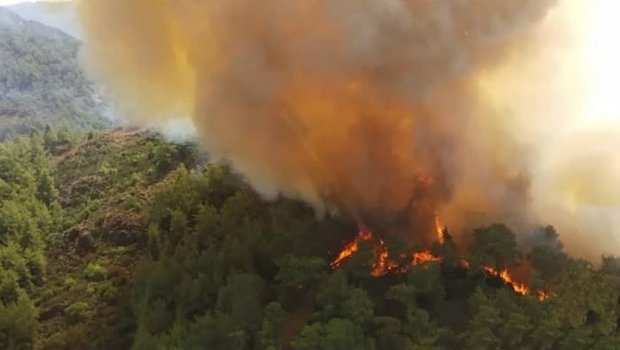 Türkiyədə meşə yanğınları ilə bağlı son vəziyyət