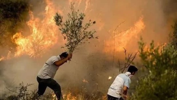 PKK-lının ETİRAFI: “Türkiyədə ağaclara təşkilatımızın əmrilə od vururlar”