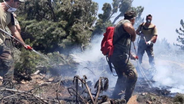 Azərbaycanlı polkovnikdən Türkiyə yanğınları ilə bağlı AÇIQLAMA