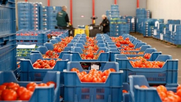 Pomidor ixracda liderliyi təhvil verdi – Yerini nə tutub? 