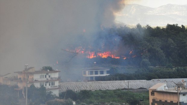 Antalyada meşəni yandıran şəxs görün polisə nə dedi?