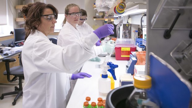 Koronavirus mövsümi xəstəliyə çevrilə bilər?