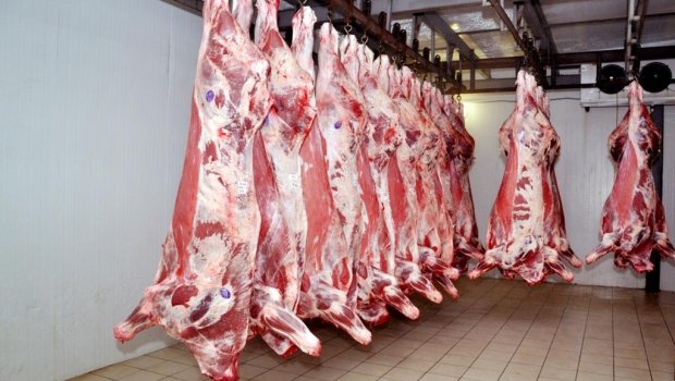 Xaricdən ət idxalı azalıb – Səbəbi nədir? 
