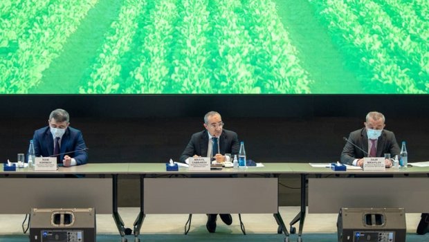 Aqroparklara nə qədər özəl investisiya ayrılıb? – Mikayıl Cabbarov məbləği açıqladı