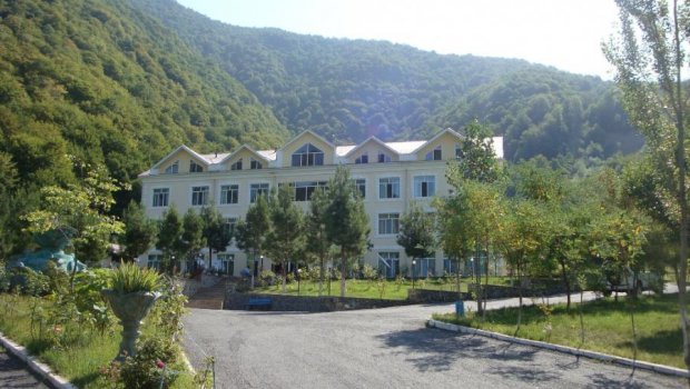 Qəbələdə torpaq sahələrinin qiyməti Abşeronu üstələdi – Hərrac