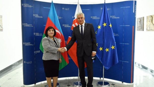 Sahibə Qafarova Slovakiyanın XİN rəhbəri ilə görüşdü - Hansı məsələlər müzakirə edildi? 