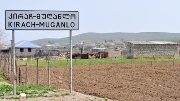 Gürcüstan azərbaycanlıları Saakaşvili üçün quzu kəsdilər - FOTO