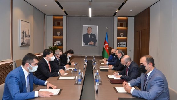 Ceyhun Bayramov braziliyalı senatorla hansı məsələləri müzakirə etdi? - FOTO