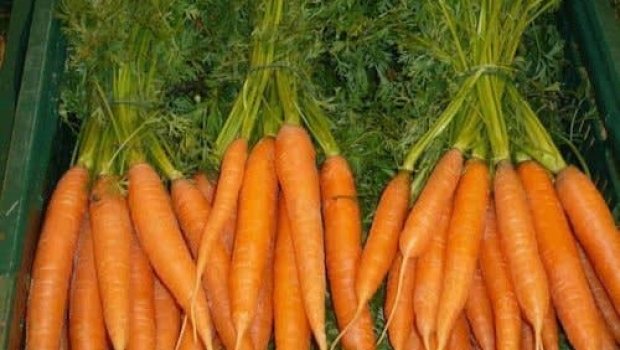 Hansı xəstəlikləri olanlar yerkökü yeməməlidir?