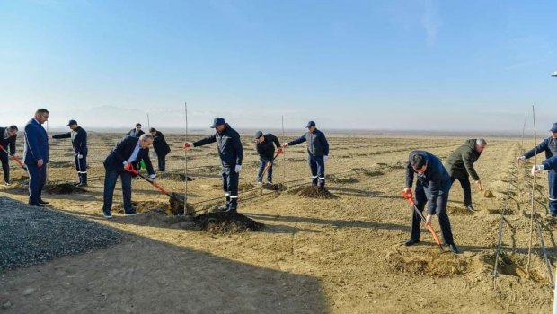 “Yevlax Pilot Aqropark”ında 1 500 nəfər işlə təmin olunacaq - FOTO
