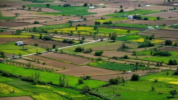Bakıda torpaq kəskin ucuzlaşdı