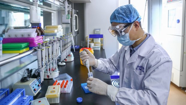 Koronavirus testi pozitiv çıxanlara pul veriləcək