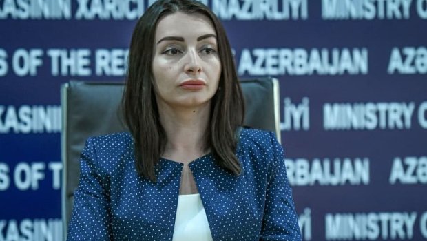 Aİ-nin Bəyannaməsində Azərbaycan üçün əhəmiyyətli məsələlər nədir?