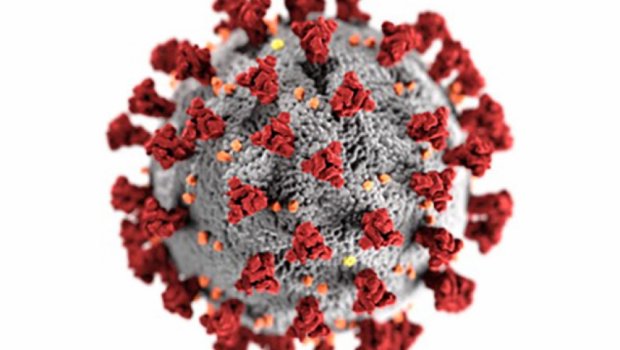 Koronavirus insan orqanizmində 7 ay qala bilər - ARAŞDIRMA