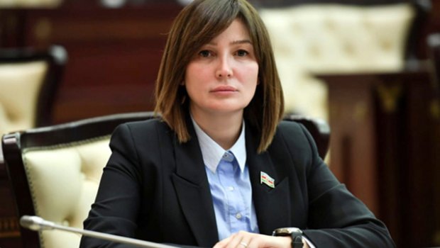 Deputatdan ABSURD TƏŞƏBBÜS – Jalə Əhmədovanın könüllü axtarışında məqsədi nədir?