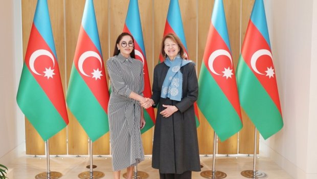 Mehriban Əliyeva Britaniyanın ticarət elçisi ilə görüşdü - FOTO