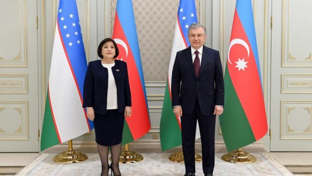 Milli Məclisin sədri Özbəkistan Prezidenti ilə görüşdü