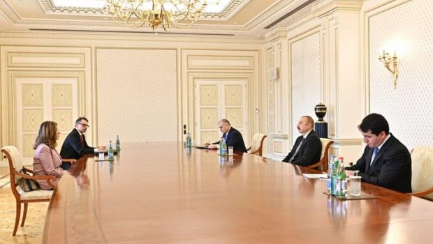 Prezident itkinlər üzrə Beynəlxalq Komissiyanın baş direktorunu qəbul etdi - VİDEO