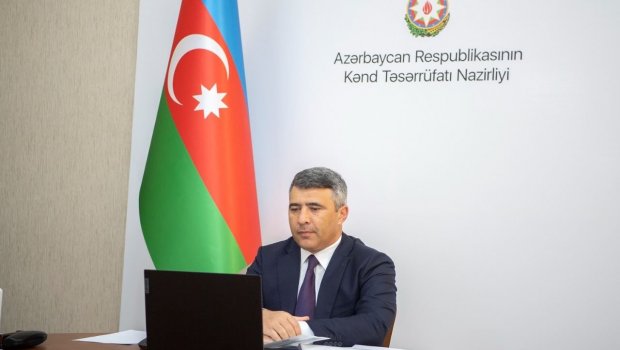 Nazir tütünçülüklə bağlı onlayn müşavirə keçirdi - FOTO