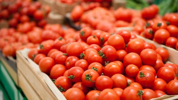 Azərbaycanın 432 ton pomidoru Rusiyaya niyə BURAXILMAYIB? – SƏBƏB BİLİNDİ