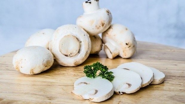 İdxal olunan cins göbələklər üçün gömrük rüsumu müəyyənləşdi