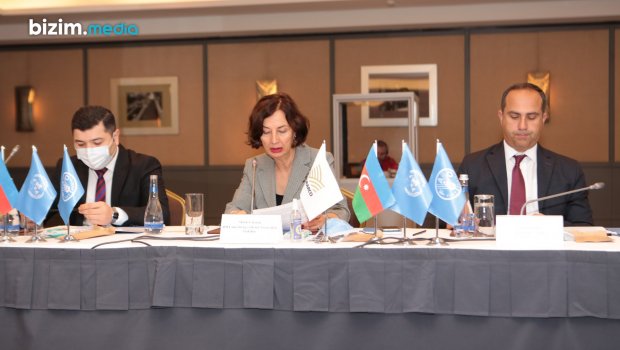 Azərbaycanda fındığın ixracı ilə bağlı YENİ LAYİHƏ – FAO ilə müqavilə imzalandı 