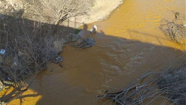 Prezident işğal zamanı Zəngilanda “çalışan” Almaniya şirkətindən DANIŞDI