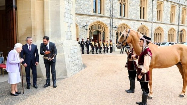 Prezidentin hədiyyə etdiyi Qarabağ atı II Yelizavetaya təqdim olundu - FOTO/VİDEO