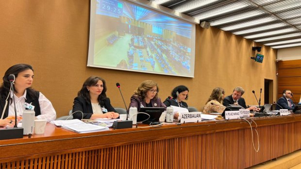 BMT-də Azərbaycanın hesabatı təqdim edildi