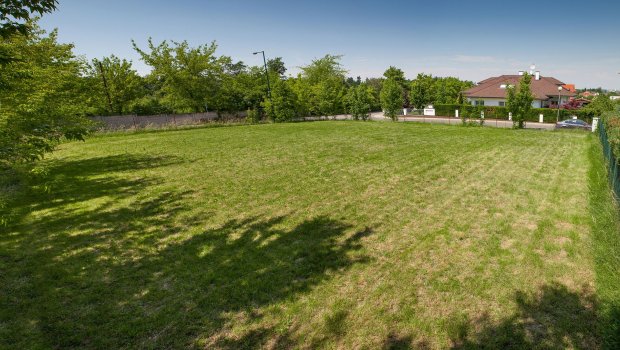 Bələdiyyə torpaqlarından qanunsuz istifadə edənləri BU CƏZALAR gözləyir – RƏSMİ 