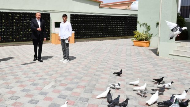 Ramana sakini Prezidentlə söhbət etdi: “Gördüyünüz bu evdə şəhid əmim qalıb” - VİDEO