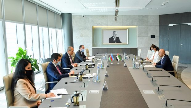 Mikayıl Cabbarov ərəbistanlı səfirlə müzakirələr apardı