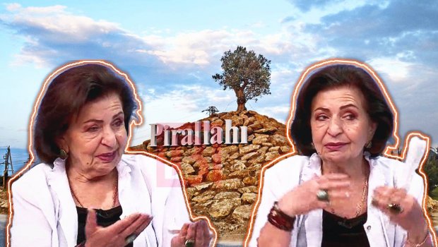 Pirallahıda torpaq istəyən Kübra Əliyeva tənqidlərə cavab verdi: 