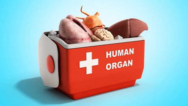 Meyit donorun anonimliyində YENİLİK - 5 MİN MANAT...
