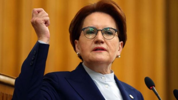 Meral Akşeneri it DİŞLƏDİ