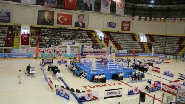 Daha bir boksçumuz finalda – Avropa birinciliyi 