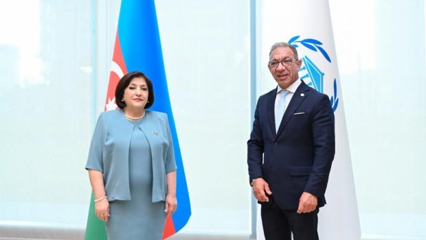 Sahibə Qafarova Parlamentlərarası İttifaqın prezidenti ilə görüşdü - FOTO