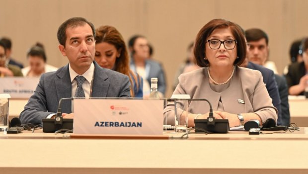 Sahibə Qafarova beynəlxalq sammitdə çıxış etdi - FOTO