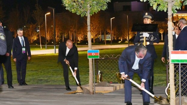 ŞƏT Sammitində iştirak edən dövlət başçıları ağac əkdilər - FOTO
