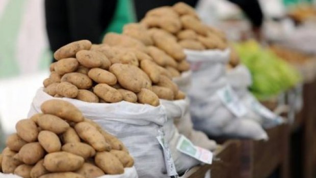 Xaricdən gətirilən kartofda təhlükəli BAKTERİYALAR aşkarlandı 