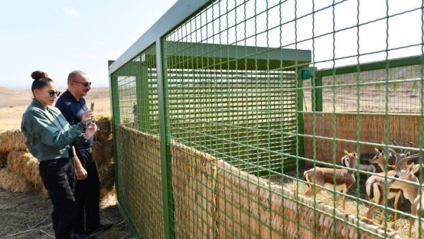 Prezident və xanımı Cəbrayılda yaradılacaq layihələrlə TANIŞ OLUB – FOTO/VİDEO 